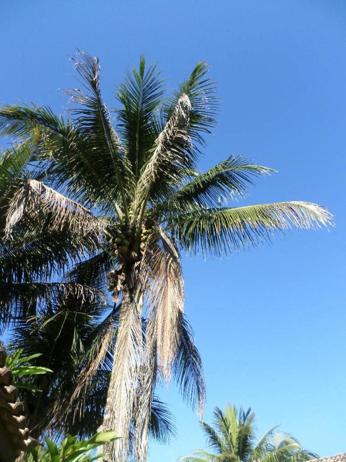 Luamar Parati
